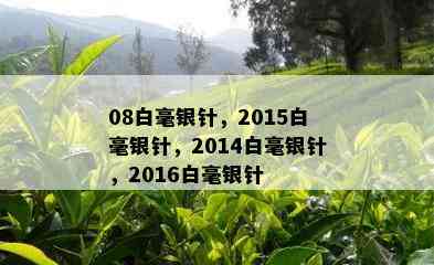 08白毫银针，2015白毫银针，2014白毫银针，2016白毫银针