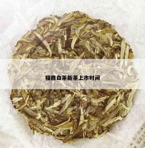 福鼎白茶新茶上市时间