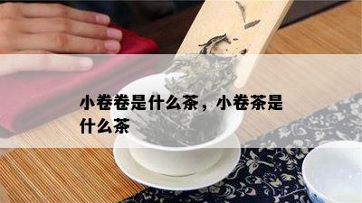 小卷卷是什么茶，小卷茶是什么茶