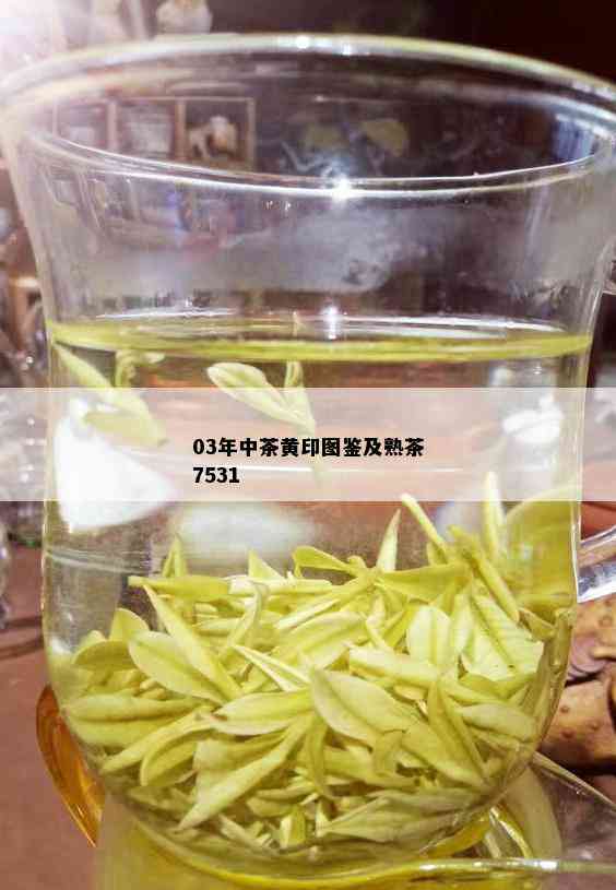 03年中茶黄印图鉴及熟茶7531