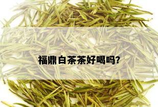 福鼎白茶茶好喝吗？