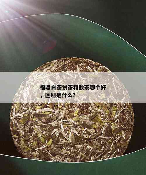 福鼎白茶饼茶和散茶哪个好，区别是什么？