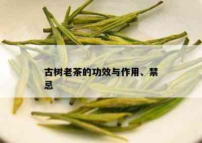 古树老茶的功效与作用、禁忌