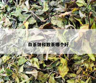 白茶饼和散茶哪个好