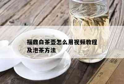 福鼎白茶壶怎么用视频教程及泡茶方法