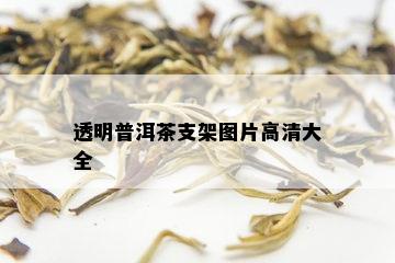 透明普洱茶支架图片高清大全