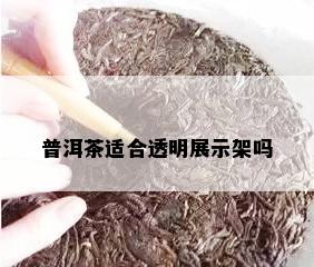 普洱茶适合透明展示架吗