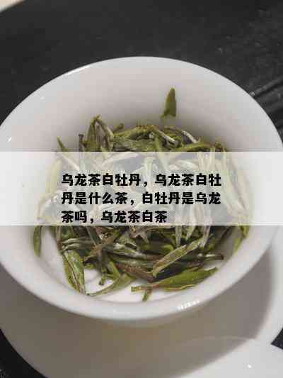 乌龙茶白牡丹，乌龙茶白牡丹是什么茶，白牡丹是乌龙茶吗，乌龙茶白茶