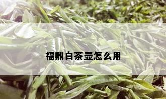 福鼎白茶壶怎么用