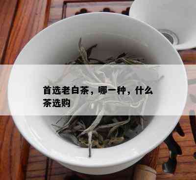 首选老白茶，哪一种，什么茶选购