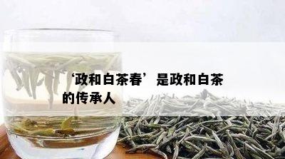 ‘政和白茶春’是政和白茶的传承人