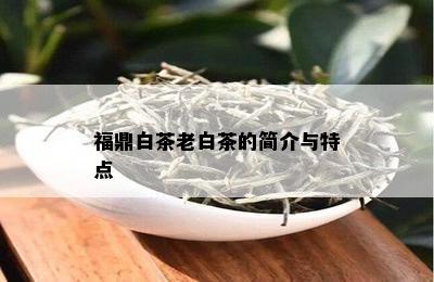 福鼎白茶老白茶的简介与特点