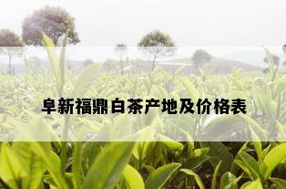 阜新福鼎白茶产地及价格表