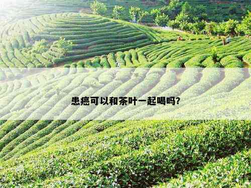 患癌可以和茶叶一起喝吗？