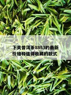 下关普洱茶8853的最新价格和值得收藏的款式