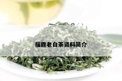 福鼎老白茶资料简介