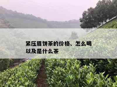 紧压眉饼茶的价格、怎么喝以及是什么茶