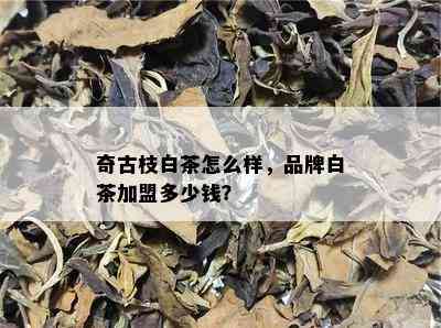 奇古枝白茶怎么样，品牌白茶加盟多少钱？