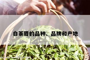 白茶眉的品种、品牌和产地