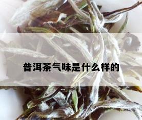 普洱茶气味是什么样的