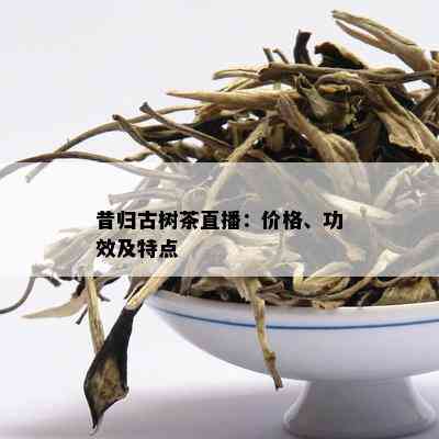 昔归古树茶直播：价格、功效及特点