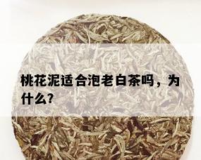 桃花泥适合泡老白茶吗，为什么？