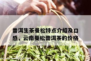 普洱生茶曼松特点介绍及口感，云南曼松普洱茶的价格