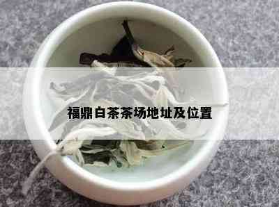 福鼎白茶茶场地址及位置