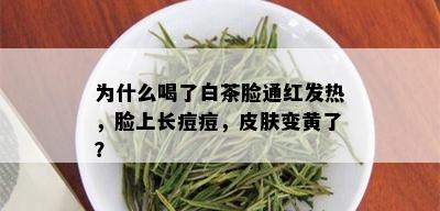 为什么喝了白茶脸通红发热，脸上长痘痘，皮肤变黄了？