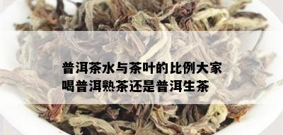 普洱茶水与茶叶的比例大家喝普洱熟茶还是普洱生茶