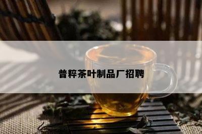 普粹茶叶制品厂招聘