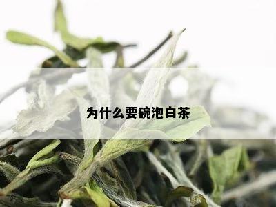 为什么要碗泡白茶