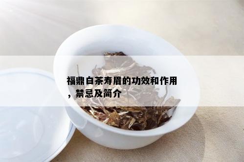 福鼎白茶寿眉的功效和作用，禁忌及简介