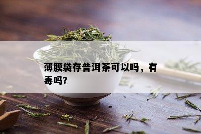 薄膜袋存普洱茶可以吗，有吗？