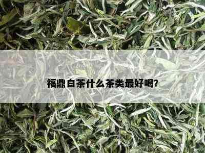 福鼎白茶什么茶类更好喝？