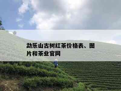 勐乐山古树红茶价格表、图片和茶业官网