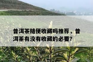 普洱茶随便收藏吗推荐，普洱茶有没有收藏的必要？