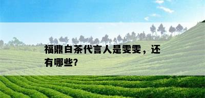 福鼎白茶代言人是雯雯，还有哪些？