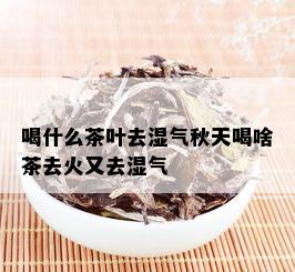 喝什么茶叶去湿气秋天喝啥茶去火又去湿气