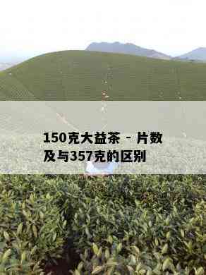 150克大益茶 - 片数及与357克的区别