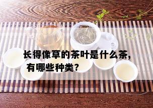 长得像草的茶叶是什么茶, 有哪些种类?