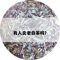 有人卖老白茶吗？