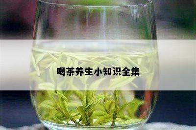 喝茶养生小知识全集