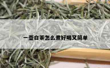 一壶白茶怎么煮好喝又简单