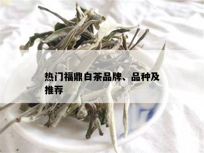 热门福鼎白茶品牌、品种及推荐