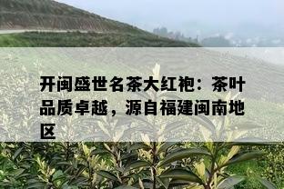 开闽盛世名茶大红袍：茶叶品质卓越，源自福建闽南地区