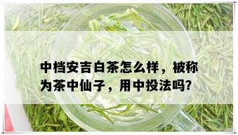 中档安吉白茶怎么样，被称为茶中仙子，用中投法吗？