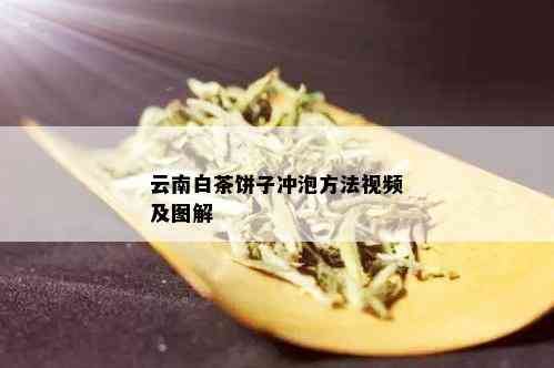 云南白茶饼子冲泡方法视频及图解