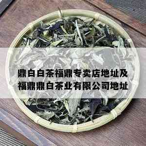 鼎白白茶福鼎专卖店地址及福鼎鼎白茶业有限公司地址