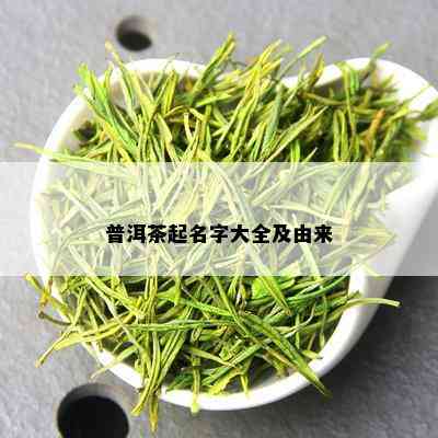 普洱茶起名字大全及由来